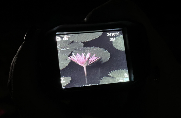 為什么用數(shù)碼夜視儀能看清黑暗中的景物